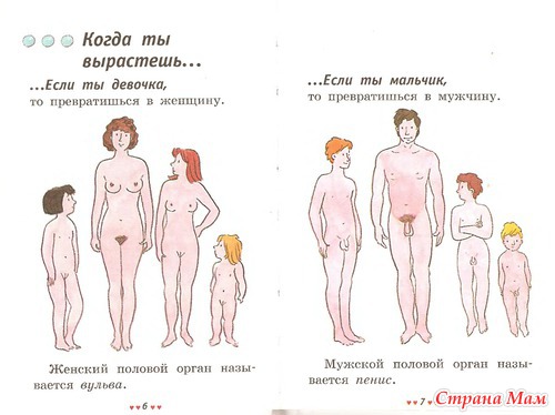 Откуда я взялся? Сексуальная энциклопедия для детей 5-8 лет.