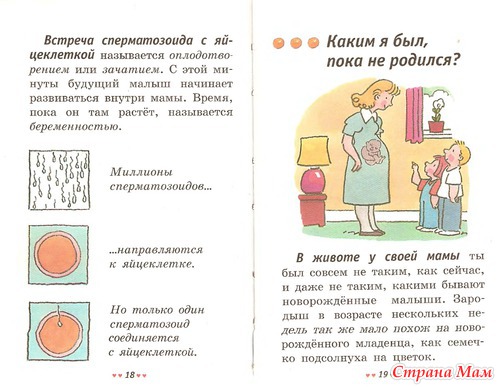 Откуда я взялся? Сексуальная энциклопедия для детей 5-8 лет.