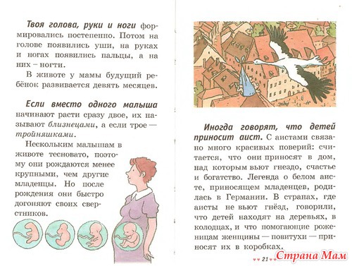 Откуда я взялся? Сексуальная энциклопедия для детей 5-8 лет.