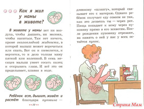 Откуда я взялся? Сексуальная энциклопедия для детей 5-8 лет.