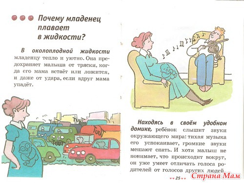 Откуда я взялся? Сексуальная энциклопедия для детей 5-8 лет.