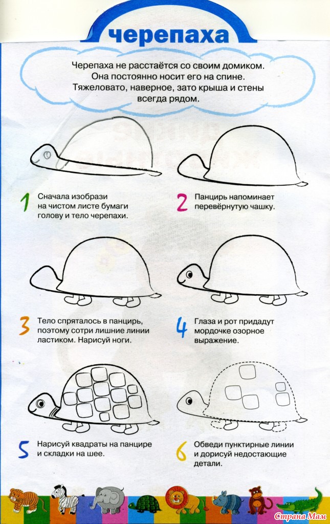 Задачи рисования в старшей группе. Поэтапное рисование Черепашки для детей. Задания по рисованию. Поэтапное рисование черепахи для дошкольников. Нарисовать черепаху поэтапно.