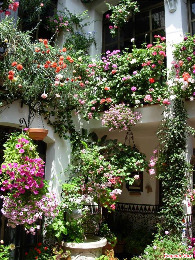 Внутренний двор. Красивый сад в деревне. Цветы в деревенском саду. На заднем дворе расцвели спойлеры. Патио внутренний дворик в саду испании.