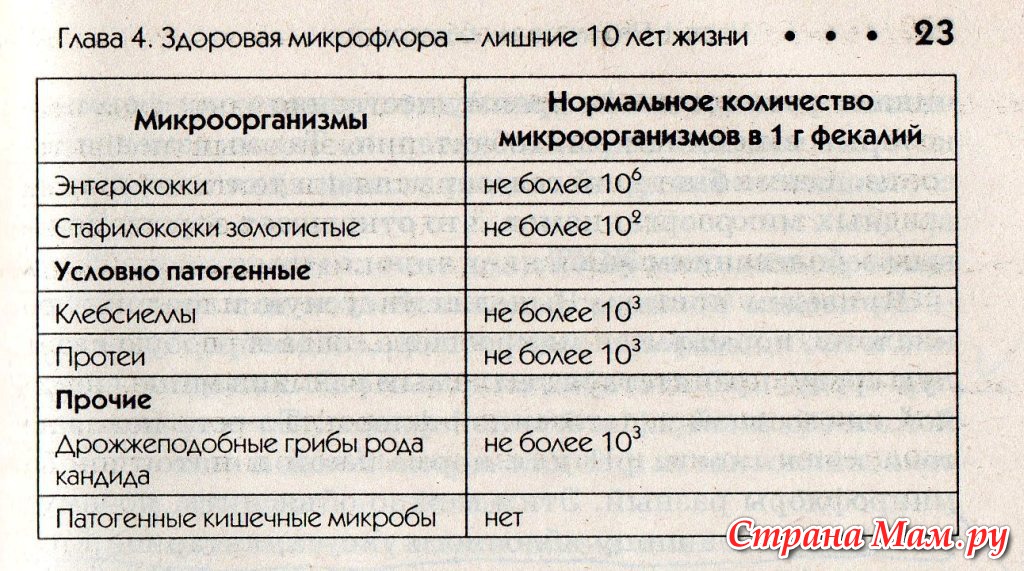 Какая микрофлора. Флора показатели нормальные. Здоровая микрофлора женщины. Показатели нормы микрофлоры человека. Нормальная микрофлора человека таблица.