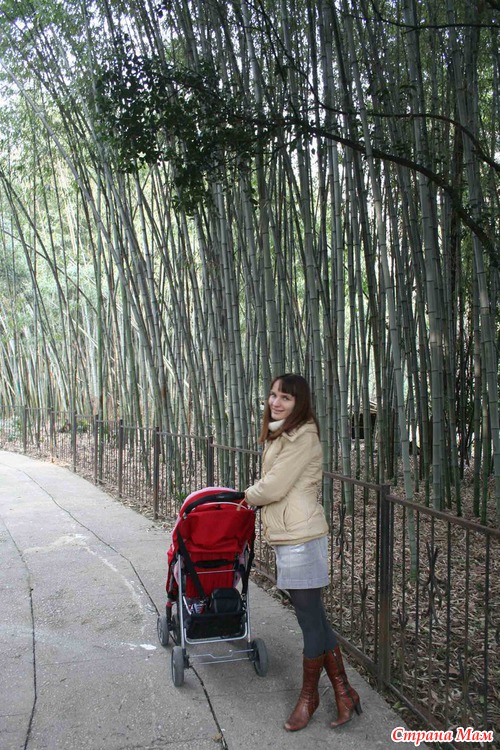 ����������� � ���� � �����������