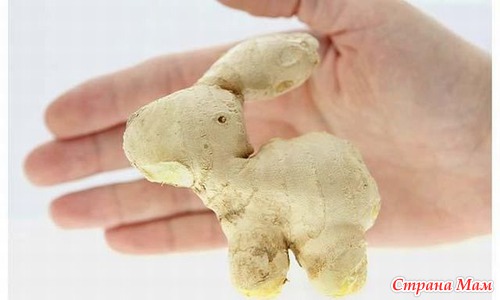 Удивляется народ: что за чудо-огород?