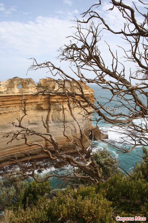 Австралия. 12 Апостолов (Great Ocean Road Великая Океаническая Дорога)