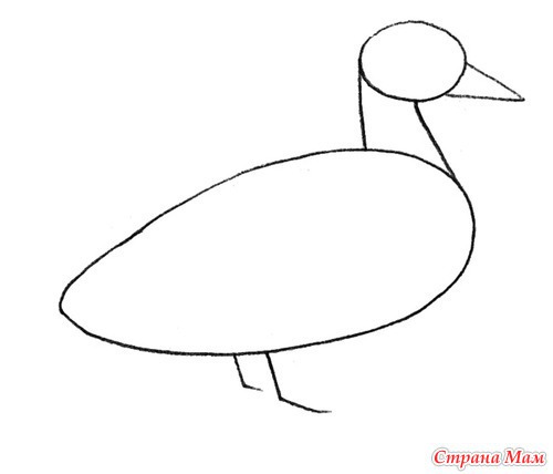 Поэтапное рисование утки для детей. Набросок утки карандашом. Последовательное рисование для детей. Нарисовать простую утку. Туловище утки.