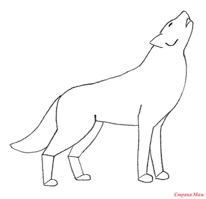 Волк детский рисунок. Волк для рисования. Поэтапное рисование волка для детей. Рисунок волка для детей лёгкий. Волк рисунок детский.