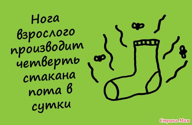 Факты из личной жизни примеры
