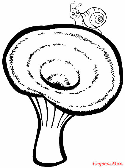 «Съедобные грибы Волнушки» бесплатная раскраска для детей - мальчиков и девочек