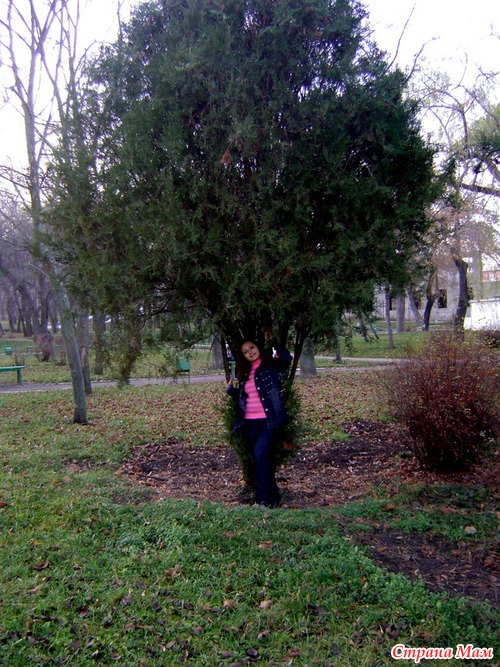 Осень 2010... Последняя листва...