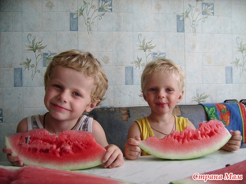 Любимое лакомство