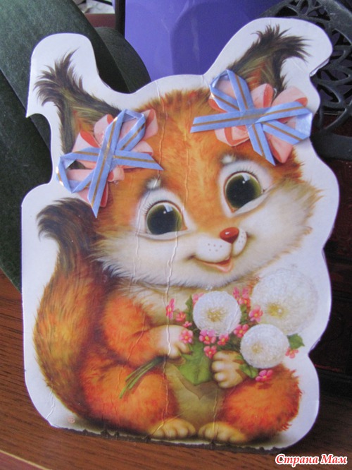 МОИ БЕЛОЧКИ