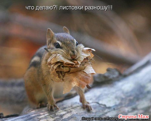 О бедном студенте замолвлю я слово.