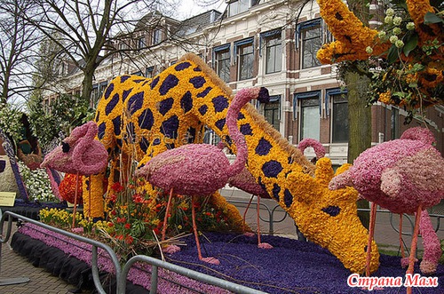   Bloemencorso  