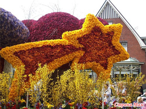   Bloemencorso  