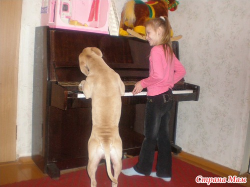 Отдыхашечки
