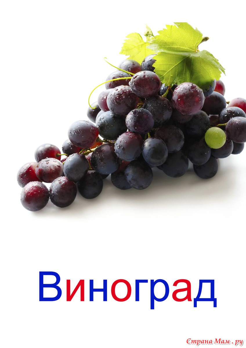 фрукты виноград картинки для детей