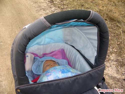 Сто способов усыпить одного младенца (Заметки из дневника грудничка)