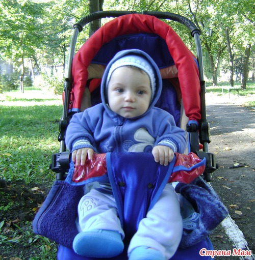 Наша прогулка в парке