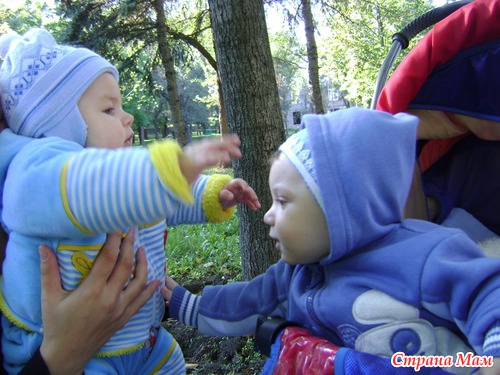 Наша прогулка в парке