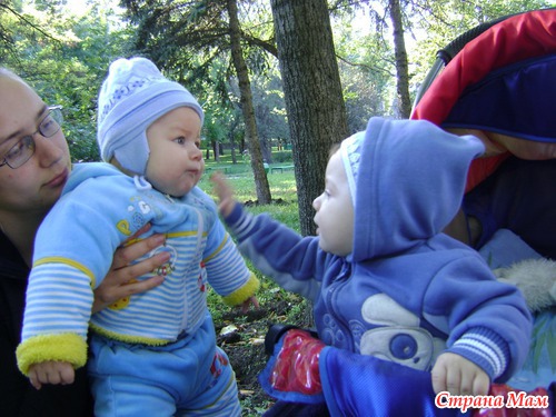 Наша прогулка в парке
