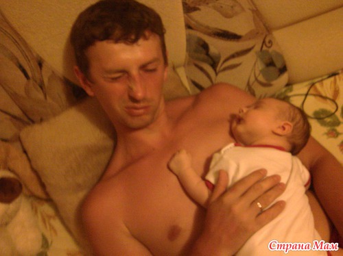Сладкий сон медвежонка