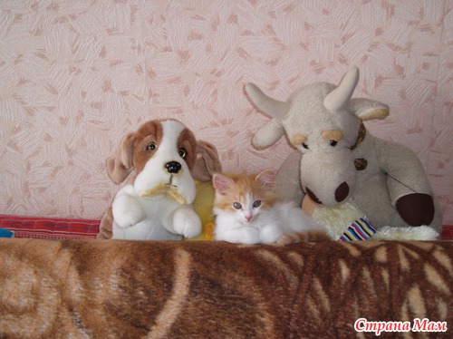 Все, что вы хотели узнать об Отшельнице, но боялись спросить:)
