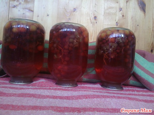 Компот Алычово-виноградный