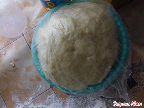 . Рецептики)