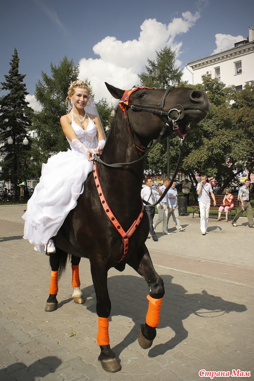 ... Свадьба...