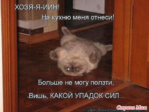 , !!!
