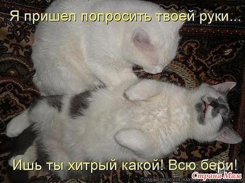 , !!!