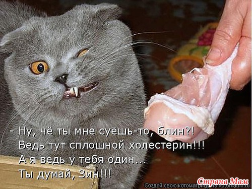 , !!!