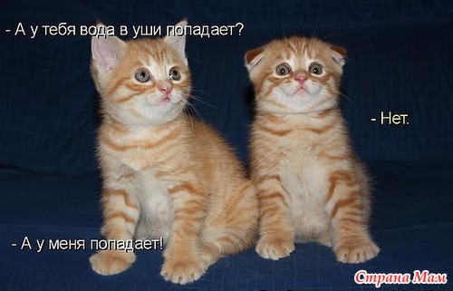 , !!!