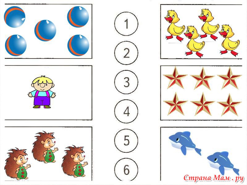 Математика счет предметов. Соотнесение числа и количества задания для дошкольников. Соотнесение количества предметов с числом. Упражнения по математике для дошкольников. Математические упражнения для детей подготовительной группы.