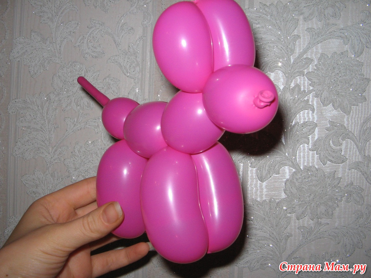 Собака из воздушного шарика. Собачка из воздушного шарика. Собачка из шарика колбаски. Поделки из надувных шариков. Фигурки из шариков колбасок.