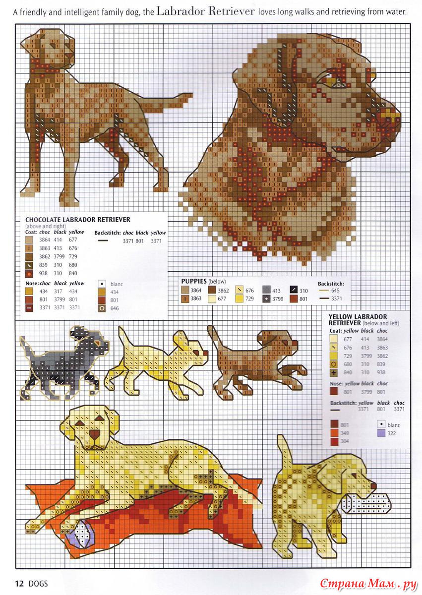 Схемы для вышивания крестиком собаки