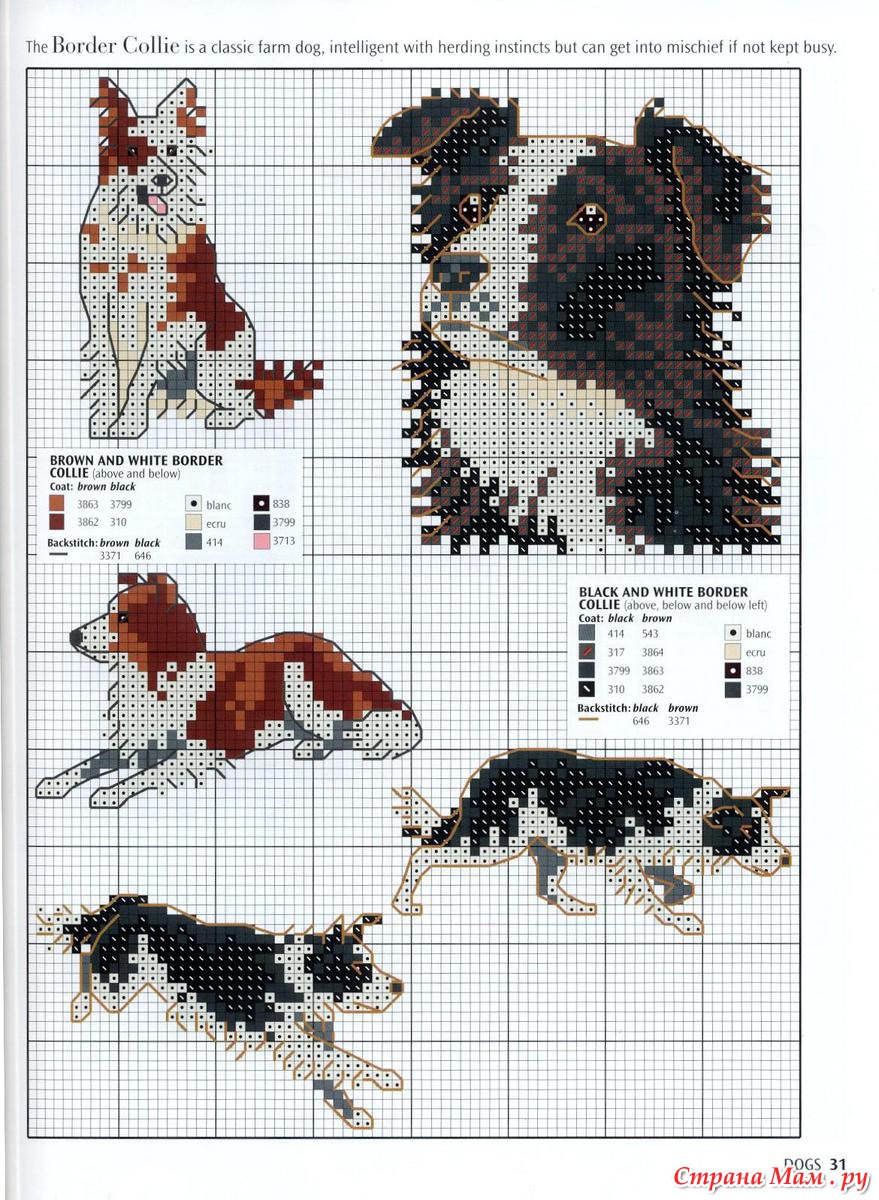 Схемы вышивки крестом собаки