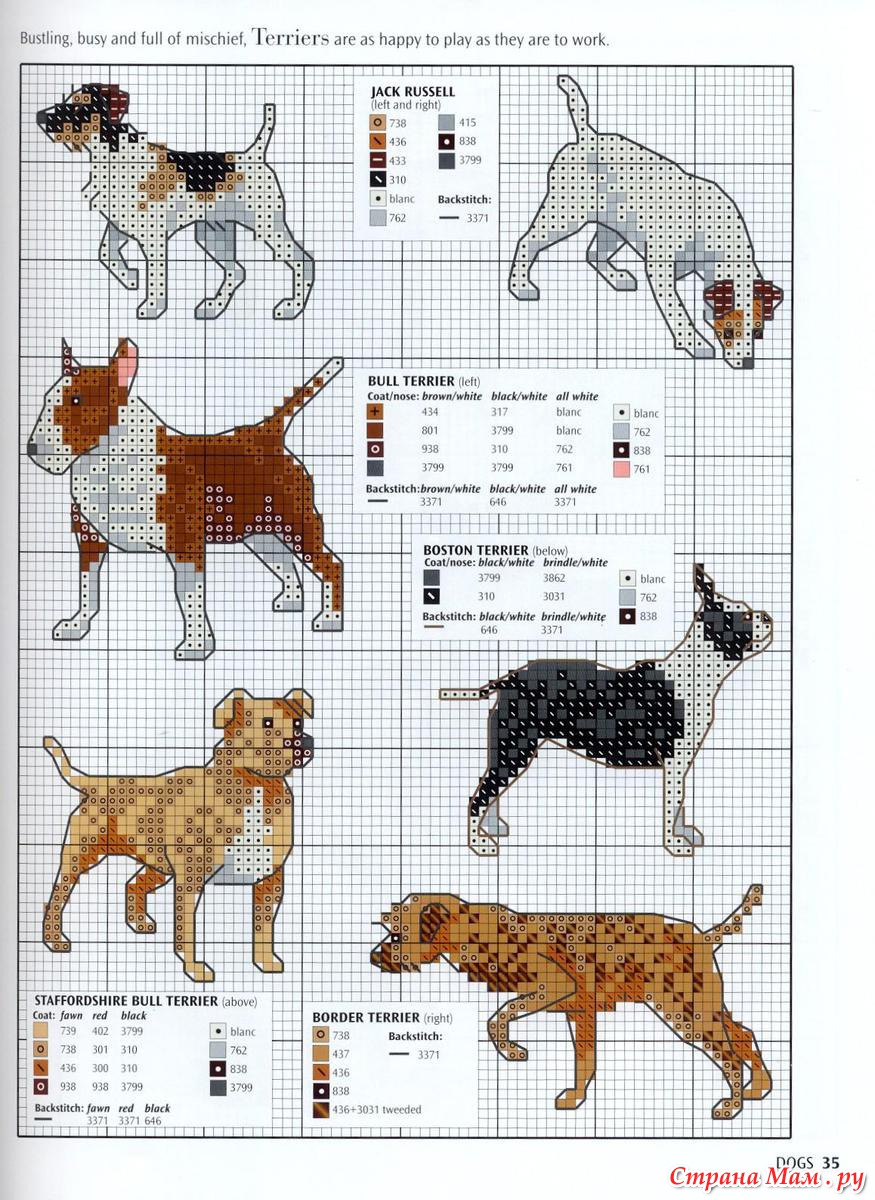 Схема вышивки крестиком той терьера