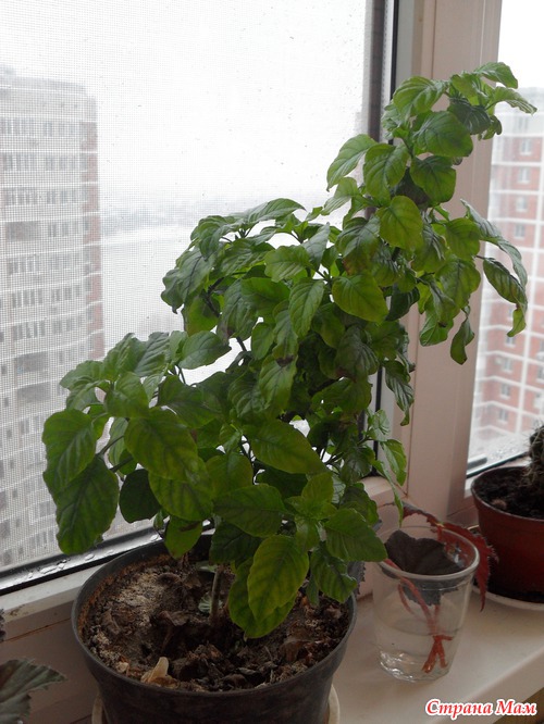 ��! � � ���� ����� �������� ����������� ������!