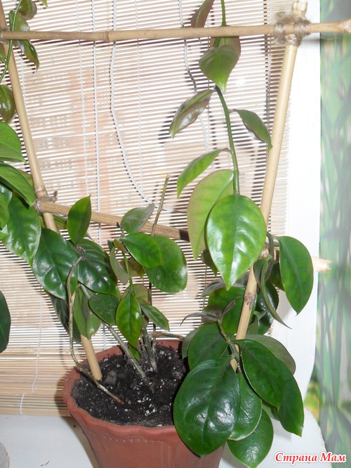 ��! � � ���� ����� �������� ����������� ������!