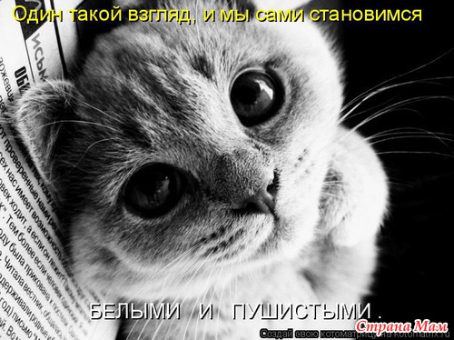 Про ребя и про зверят!!!