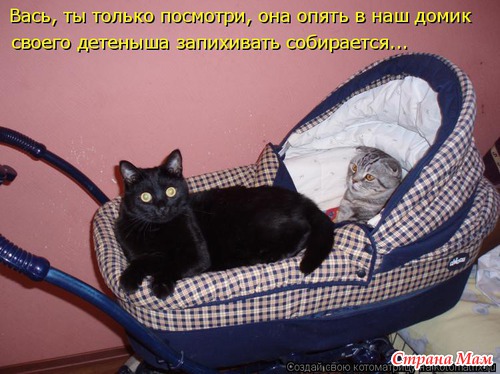Про ребя и про зверят!!!