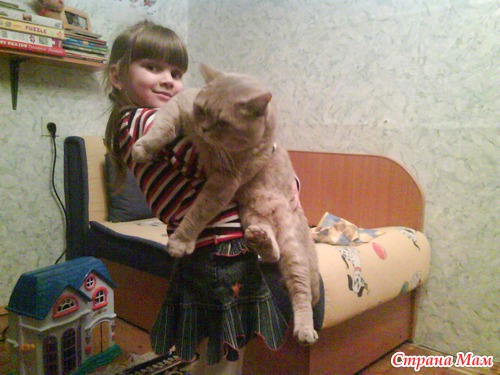 Бэйлис