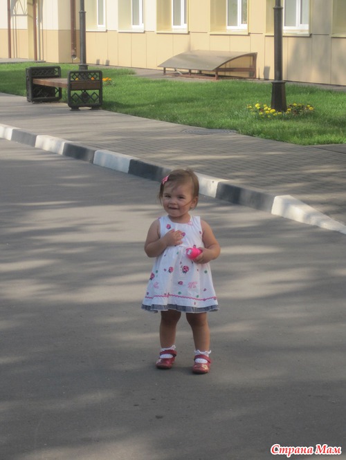 Наши прогулки