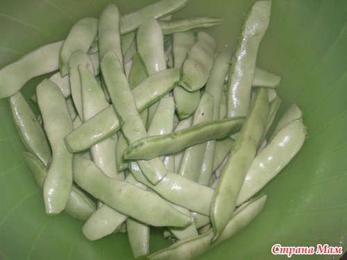 Фасолакия (молодая фасоль) с курицей и без