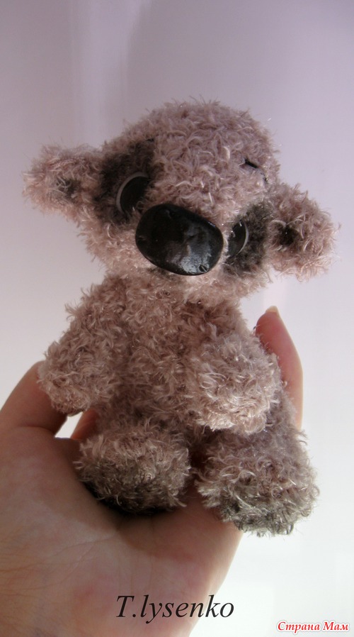 Коала