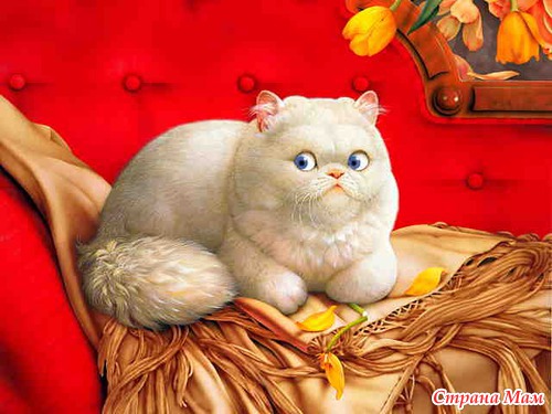  Makoto Muramatsu - 3.